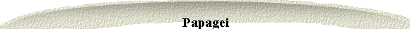 Papagei